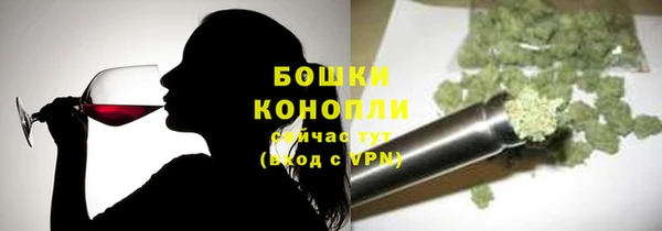 соль ск Белокуриха